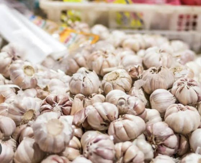 BAWANG PUTIH CAHAYA NUSANTARA