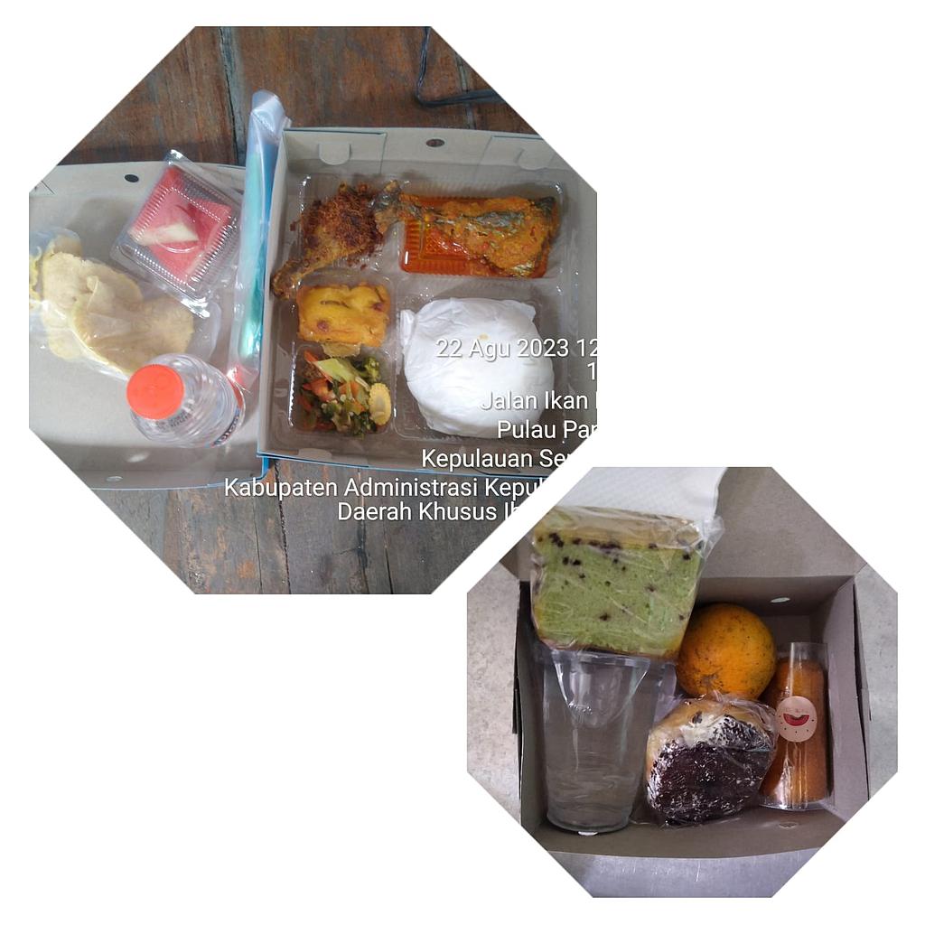 paket lengkap (nasi box dan snack box)