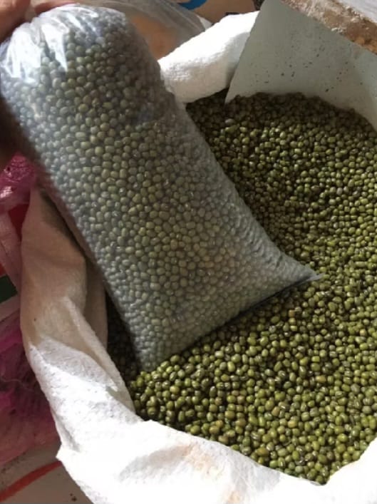 KACANG IJO 1 KG