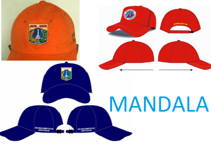 TOPI