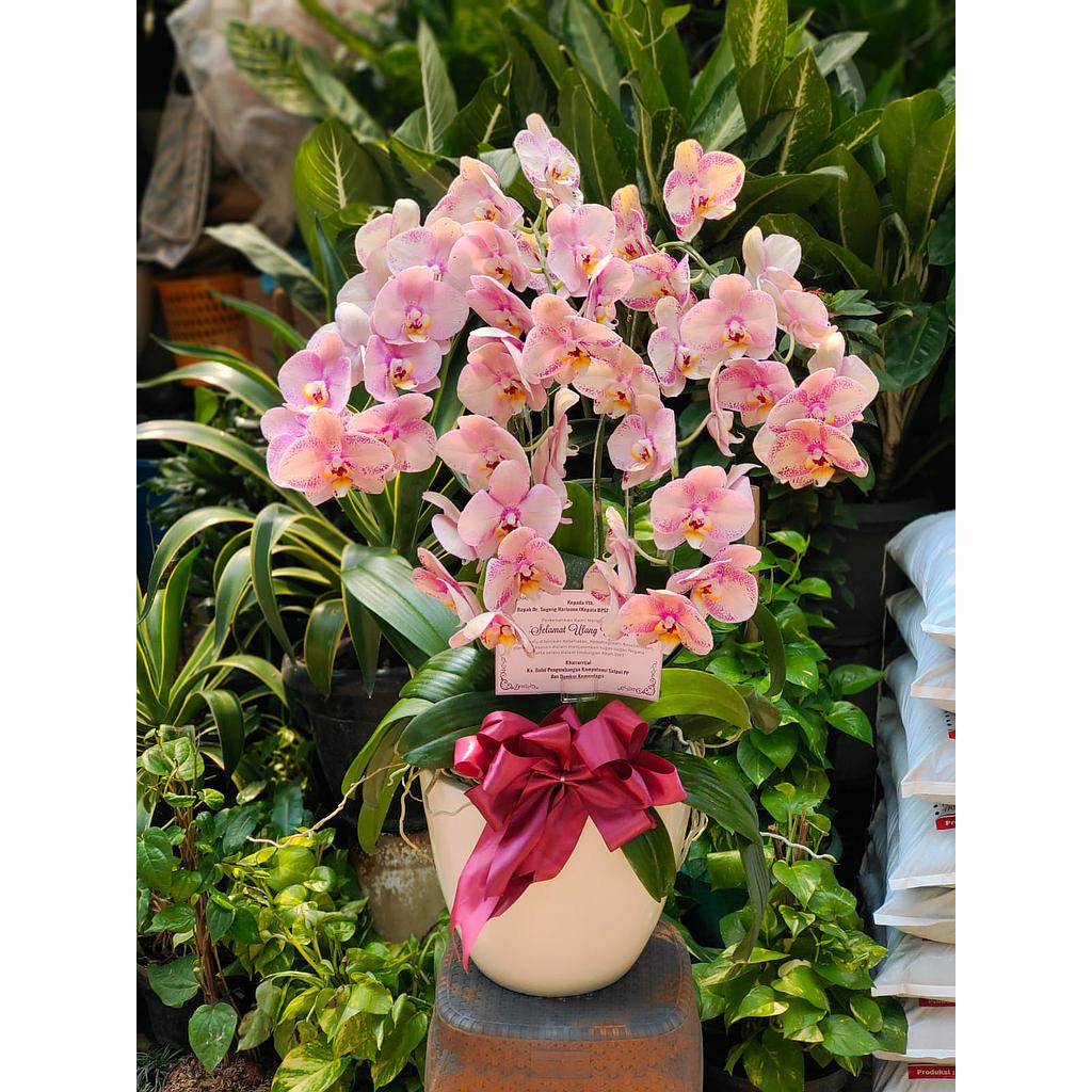 Rangkaian Bunga Anggrek 4 Tangkai