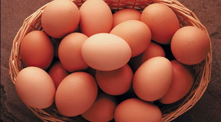 Telur Ayam