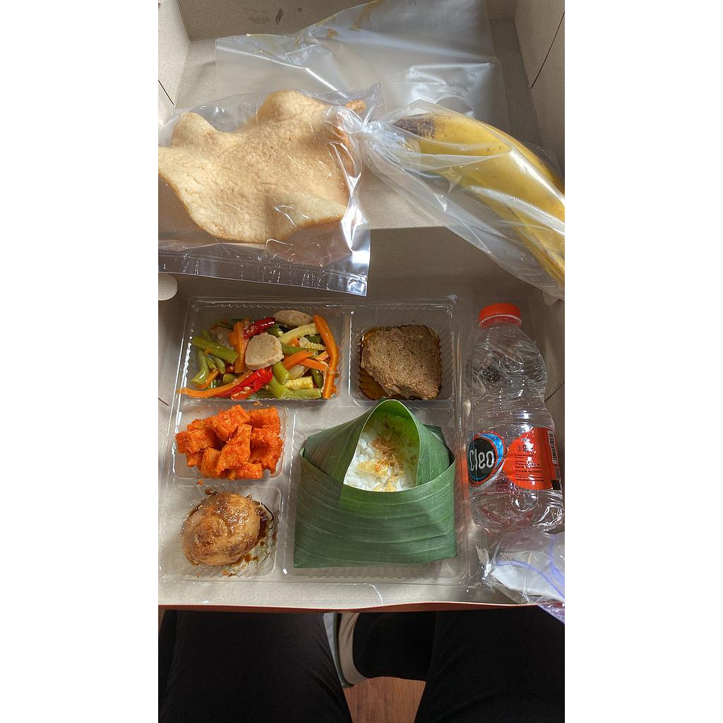 Nasi Box 002
