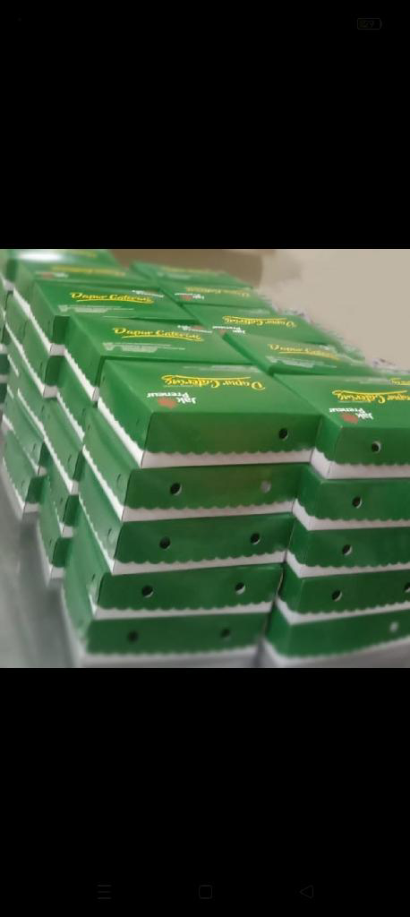 Penyediaan Snack dan Makan Rapat dengan asumsi sampai 20 orang