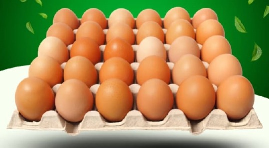 Telur Ayam