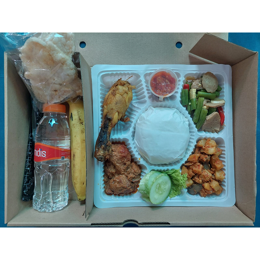 Nasi Box Sansevieria