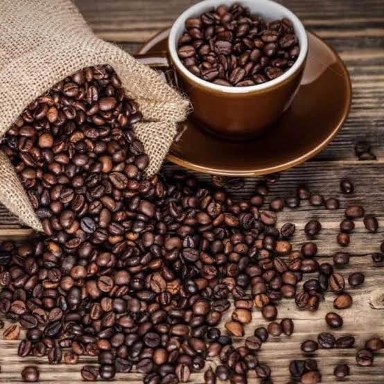 biji kopi robusta