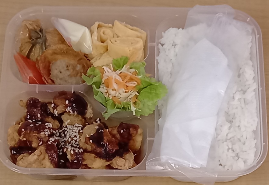 RICE BOX BENTO 1