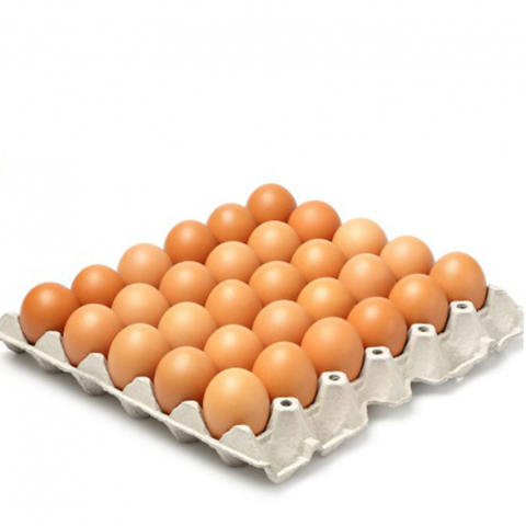 Telur ayam negeri