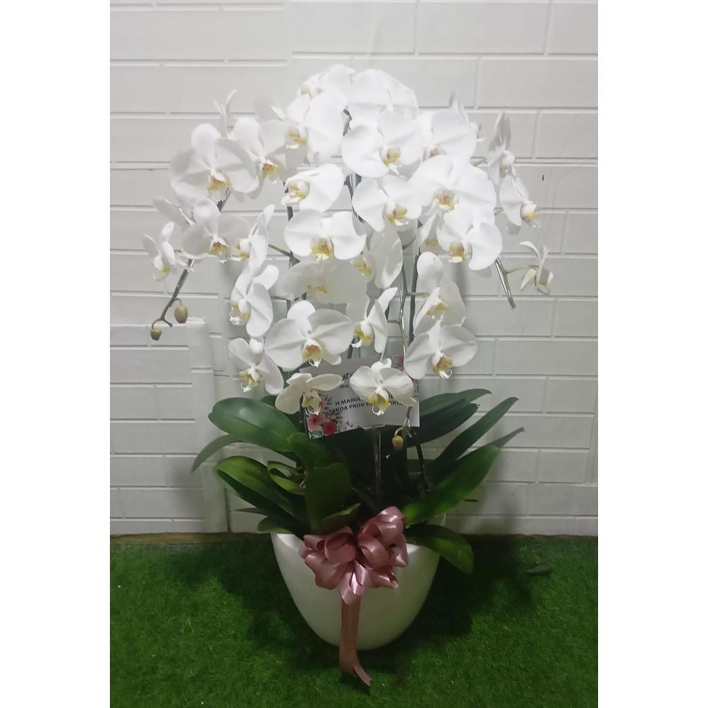 Bucket Bunga Anggrek