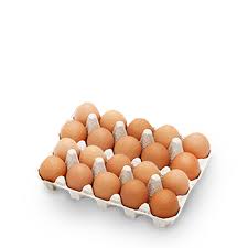 Telur Ayam