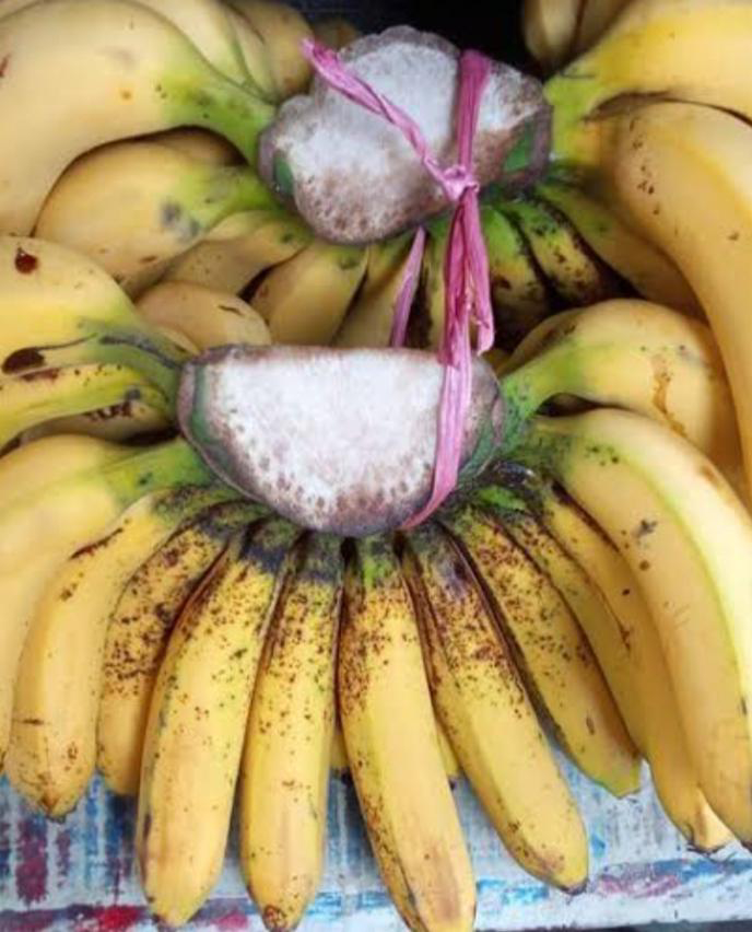 Buah Pisang Persisir 