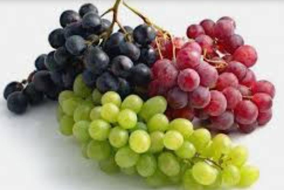 Buah Anggur 