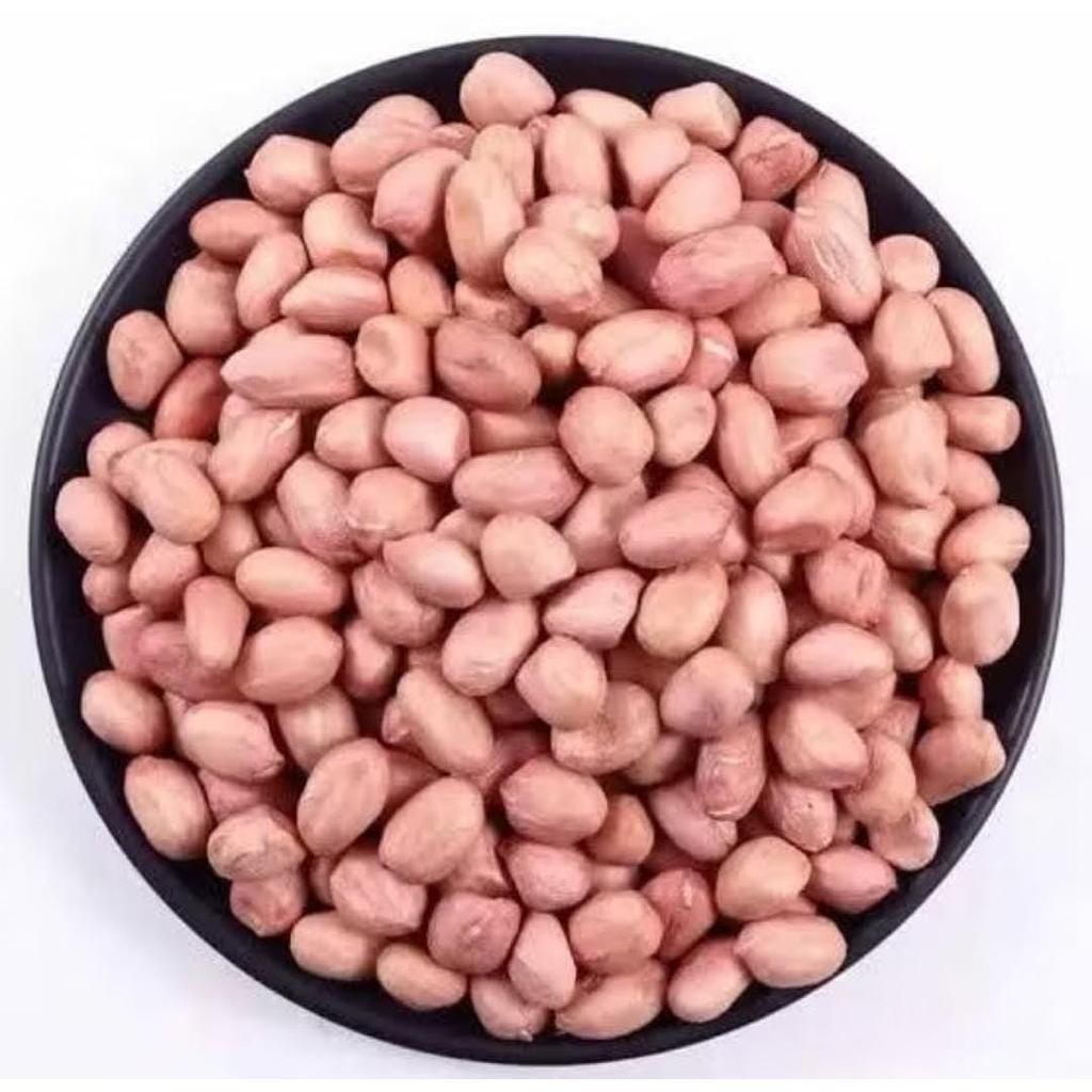 KACANG TANAH