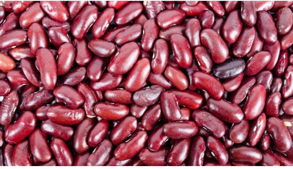 KACANG MERAH