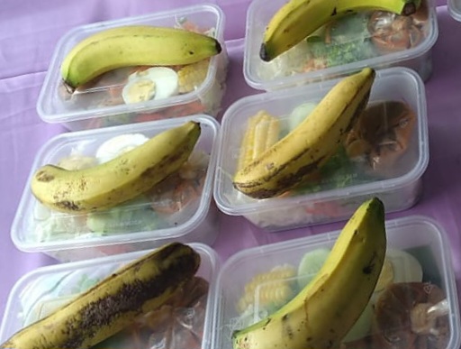 PMT BALITA &amp; LANSIA