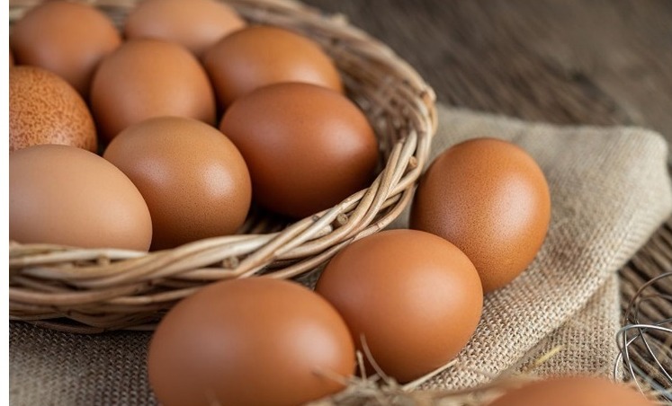 TELUR AYAM 1kg