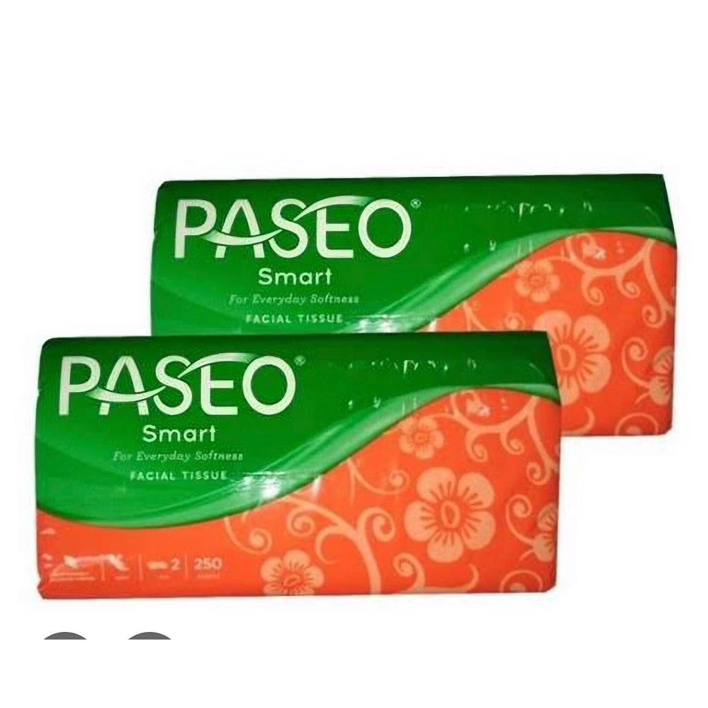 TISSSUE 250 SHEET TOKO VALEN