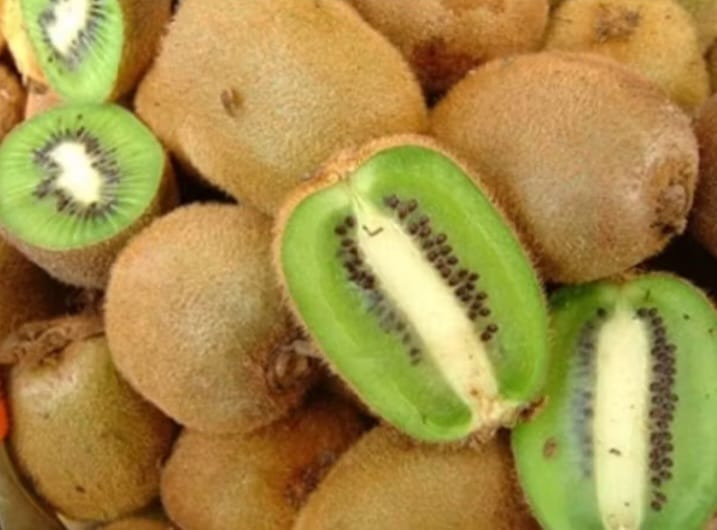 BUAH KIWI 1 KG