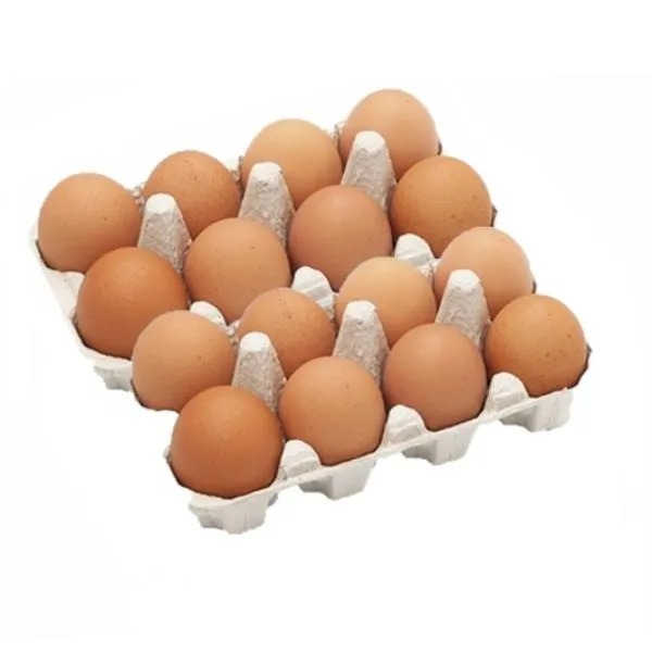 Telur Ayam 1 KG