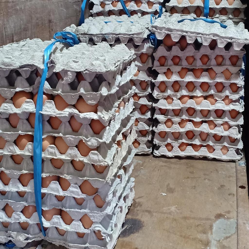 Telur Ayam Negeri