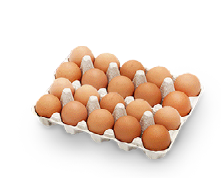 Telur Ayam 1 kg