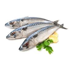 Ikan Tenggiri