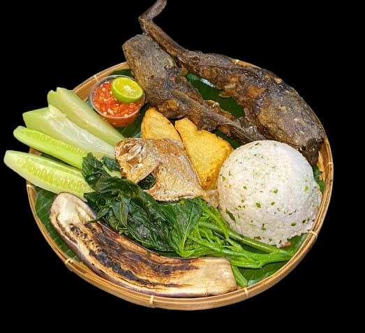 TM ikan lele