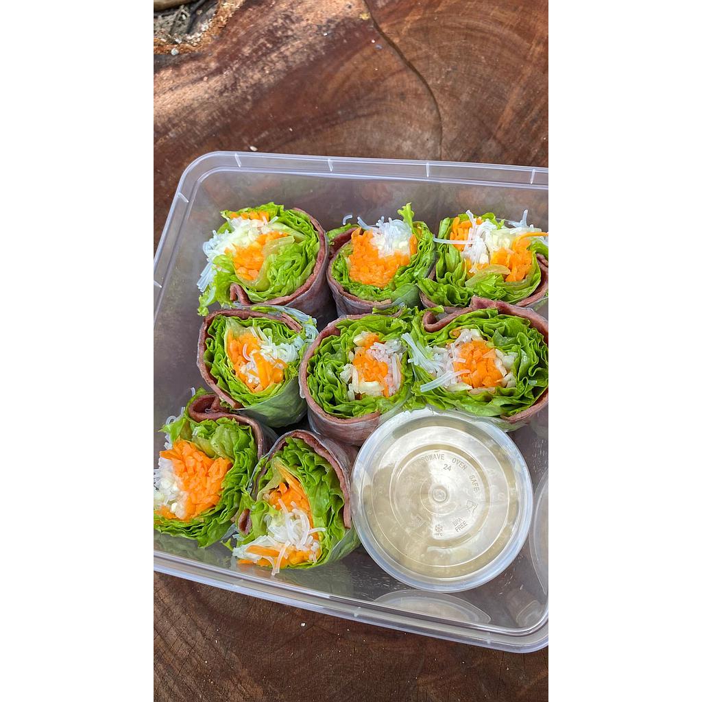 Vietnam spring roll