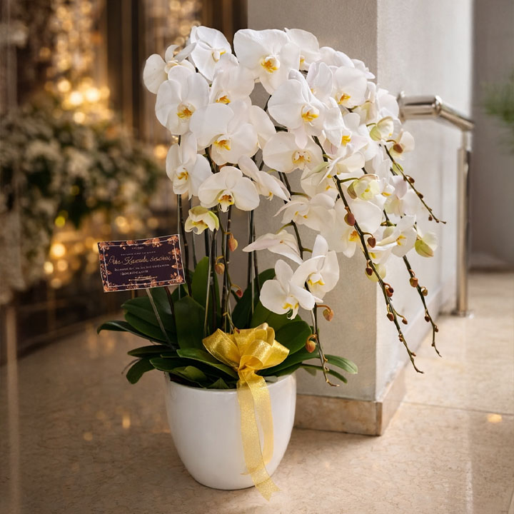 Flower Pot 7 Tangkai