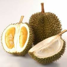 Durian Matahari
