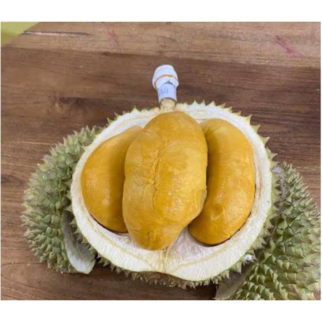 Durian Blackthorn