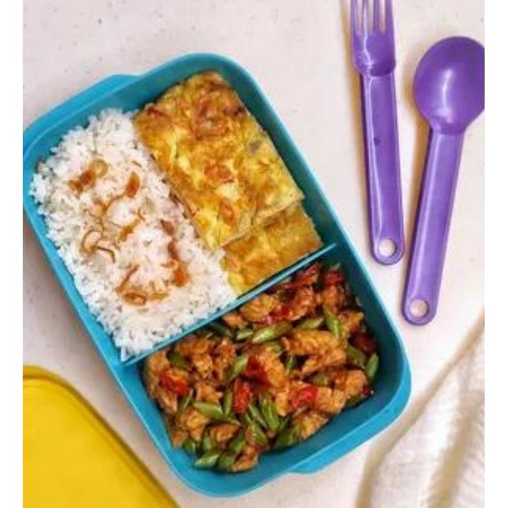 Pemberian Makanan Tambahan Balita / Lansia