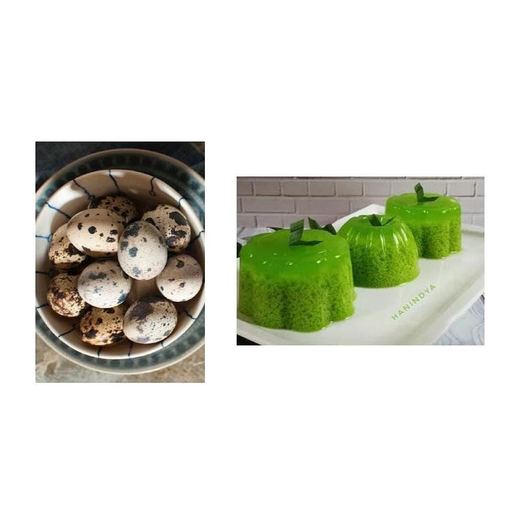 Pemberian Makanan Tambahan Balita / Lansia