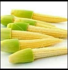 Jagung kecil