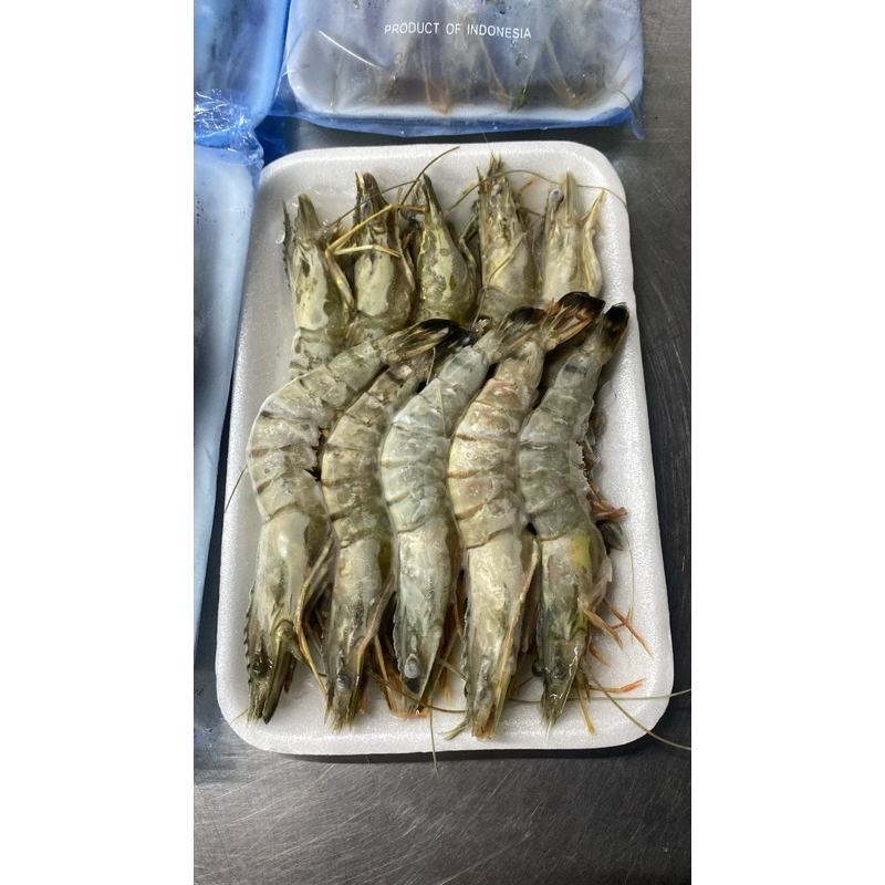 Udang