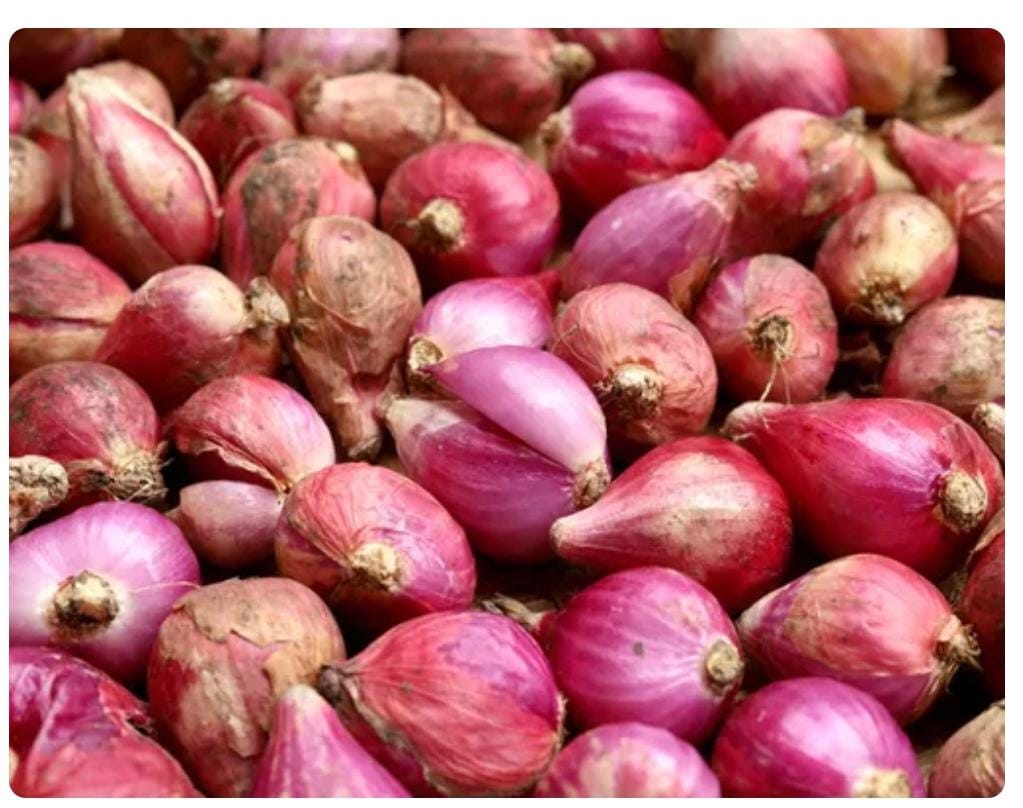 Bawang Merah