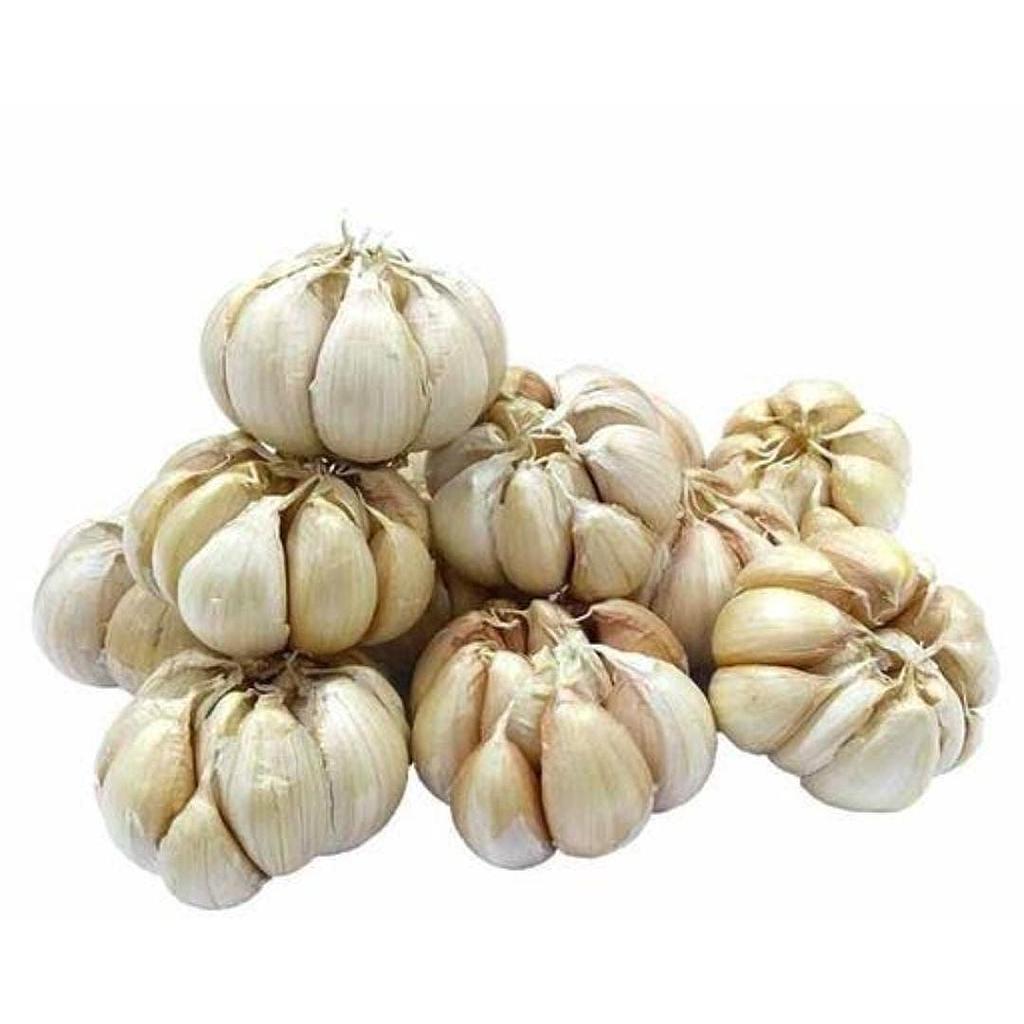 Bawang Putih