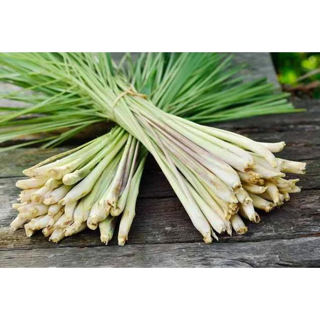 Daun Sereh