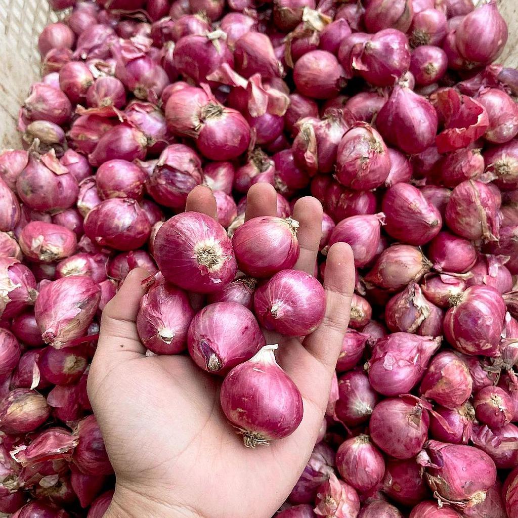 Bawang Merah
