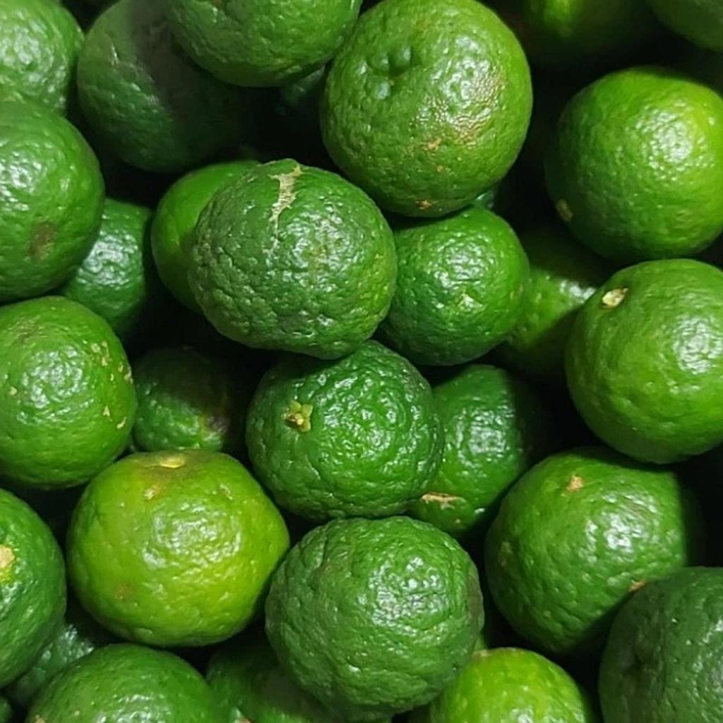 Jeruk Limau