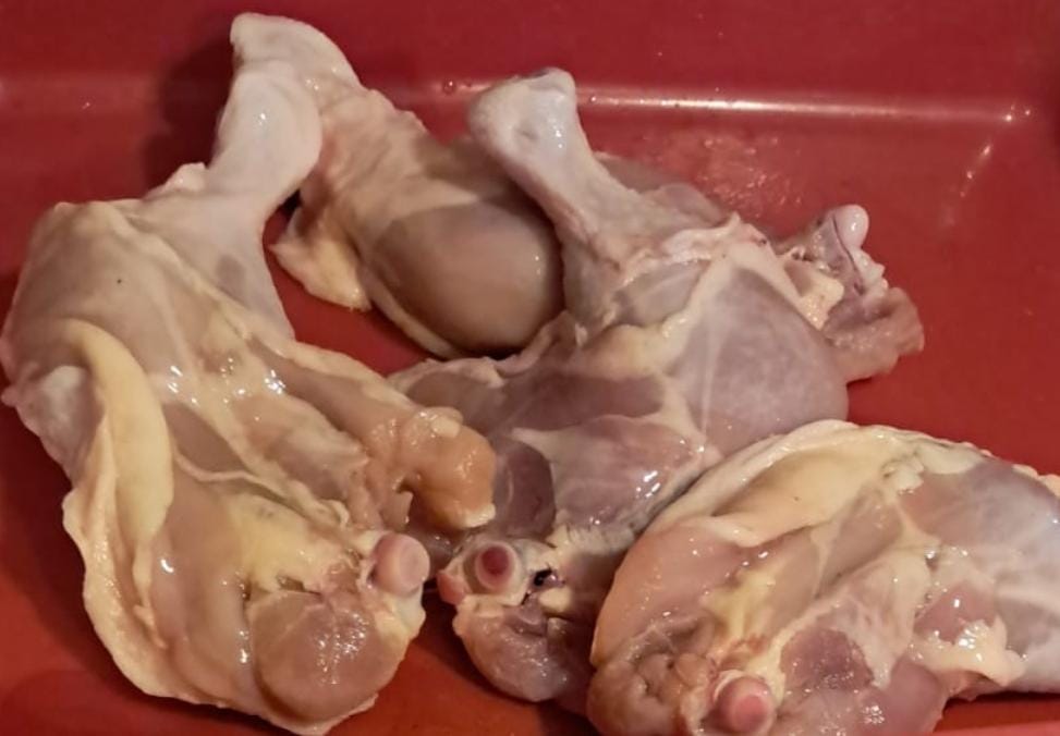 Ayam