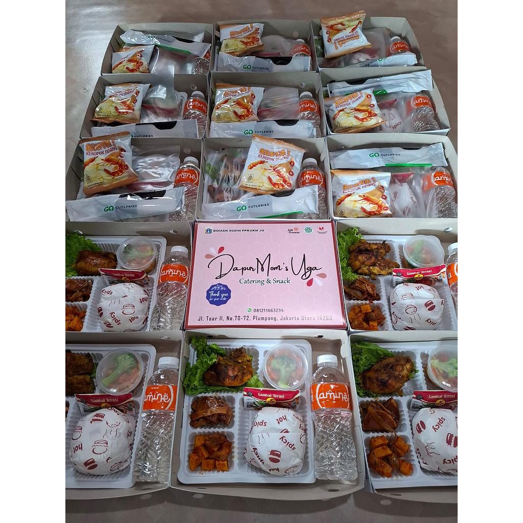PAKET NASI BOX B