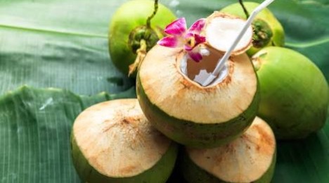 kelapa muda_rumah makan sahabat kita