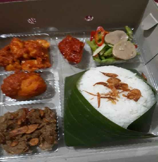 PAWONE BUDE Lunch Box