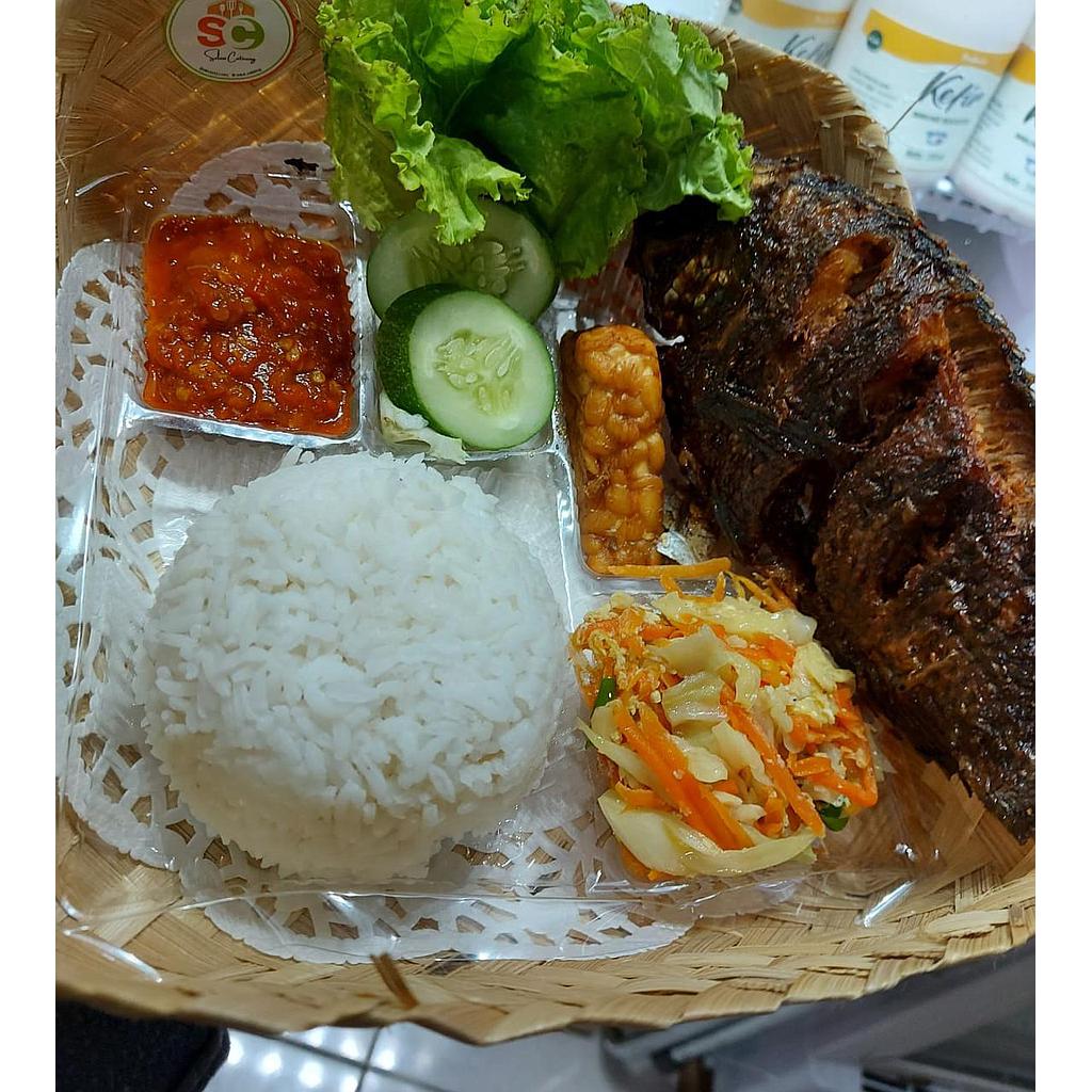 Paket Ikan