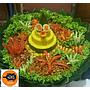 ANEKA TUMPENG1