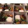 Catering Asep