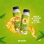 Ice Tea Mojito Mint (Botol)