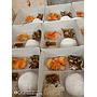 Nasi Box Paket D